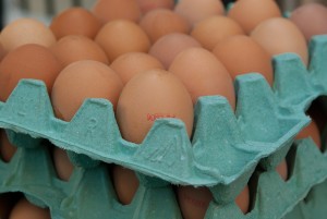 eggs-1887395_1280
