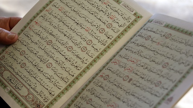 Polémica en Alemania por nuevo libro de Sarrazin crítico con islam