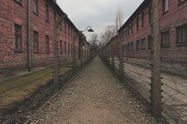 Cultura quiere más visitas escolares a campos de concentración nazis