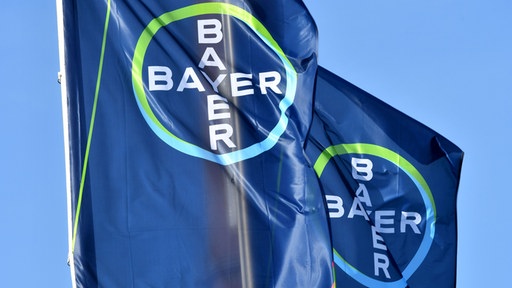 Caen las acciones de Bayer tras revés en juicio por glifosato