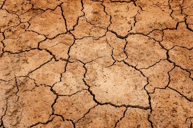 Alemania paga casi 292 millones de euros de ayuda por sequías