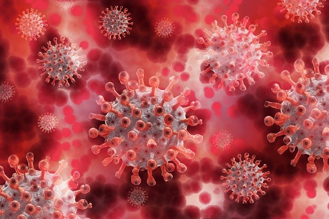 RKI: Capacidad de análisis de coronavirus en Alemania está al límite