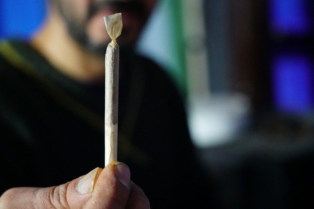 Legalización del cannabis divide a la sociedad alemana