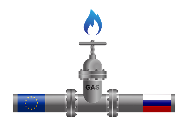 Empleadores y sindicatos advierten contra la prohibición de importación de gas ruso