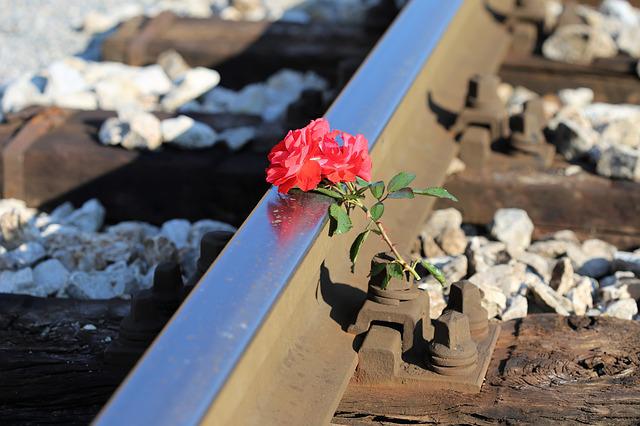 Accidente de tren: búsqueda de causa – investigaciones contra empleados ferroviarios