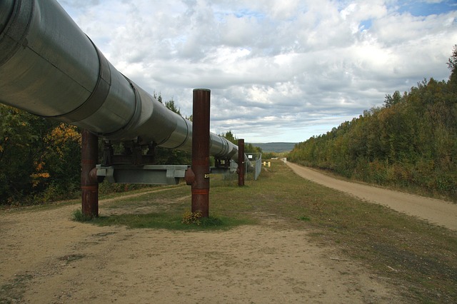 Parada de suministro de gas a través de Nord Stream 1 – Trabajos de mantenimiento de tres días