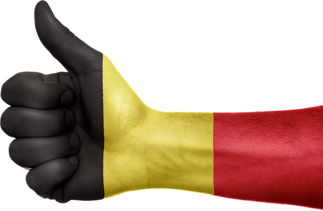 Baerbock: Bélgica socio importante en la lucha contra la crisis climática