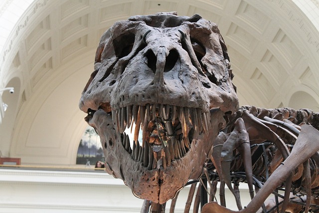 Activistas se pegan un soporte de esqueleto de dinosaurio en museo alemán